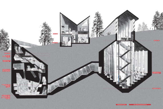 Anita V 3 D Section
