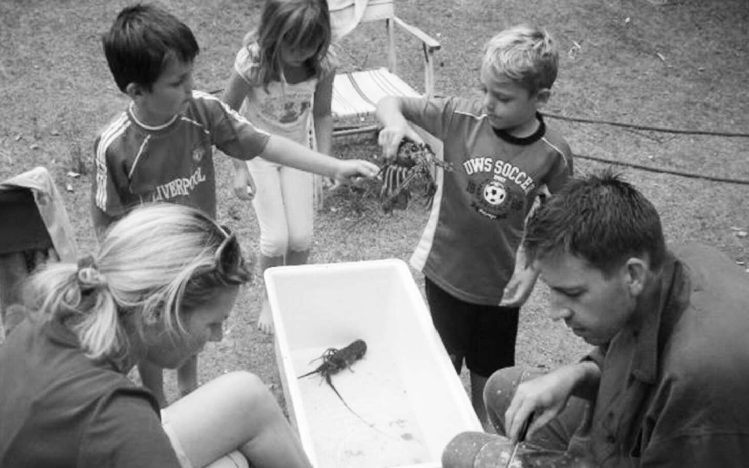 Crayfish