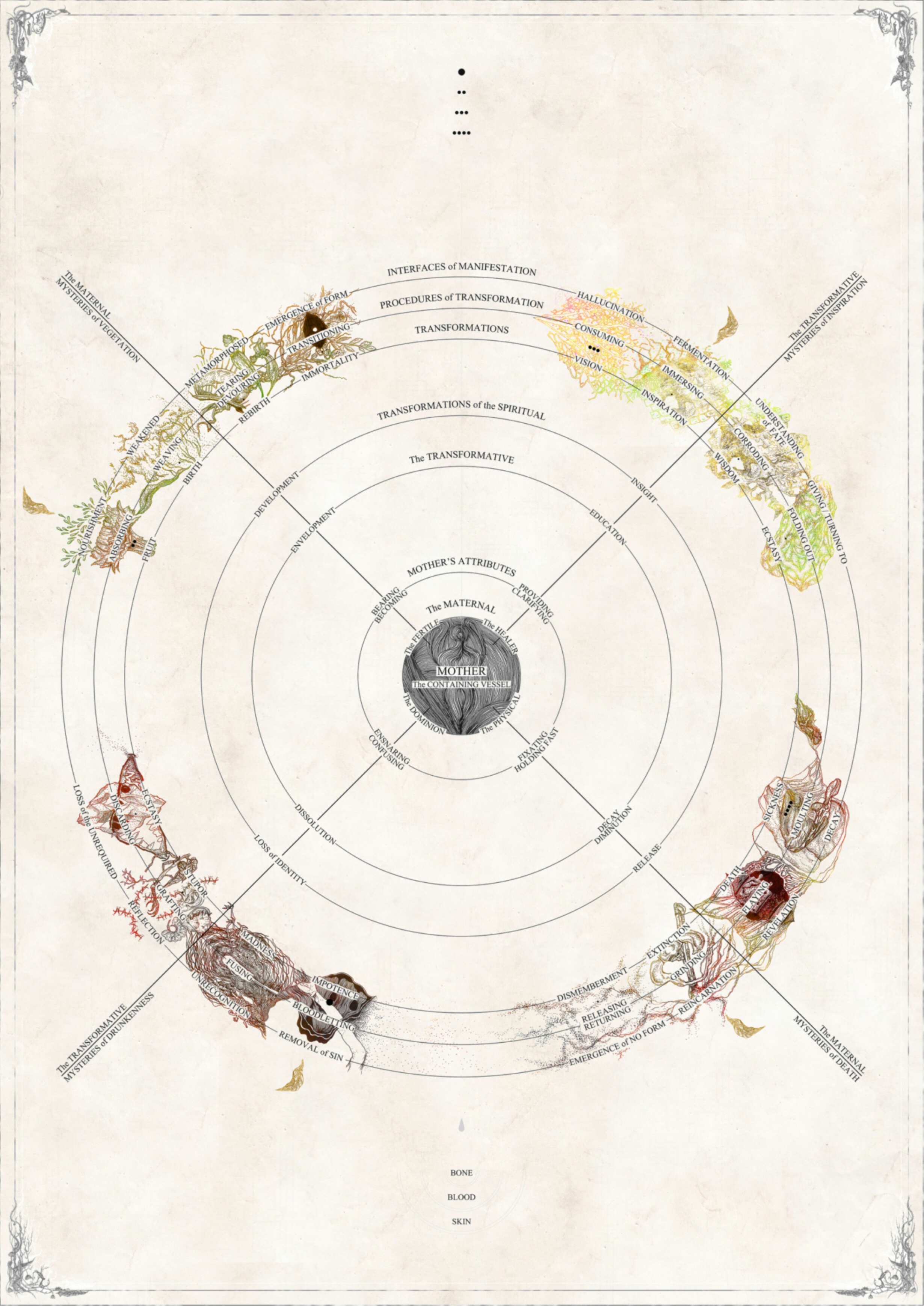 Schema Anew