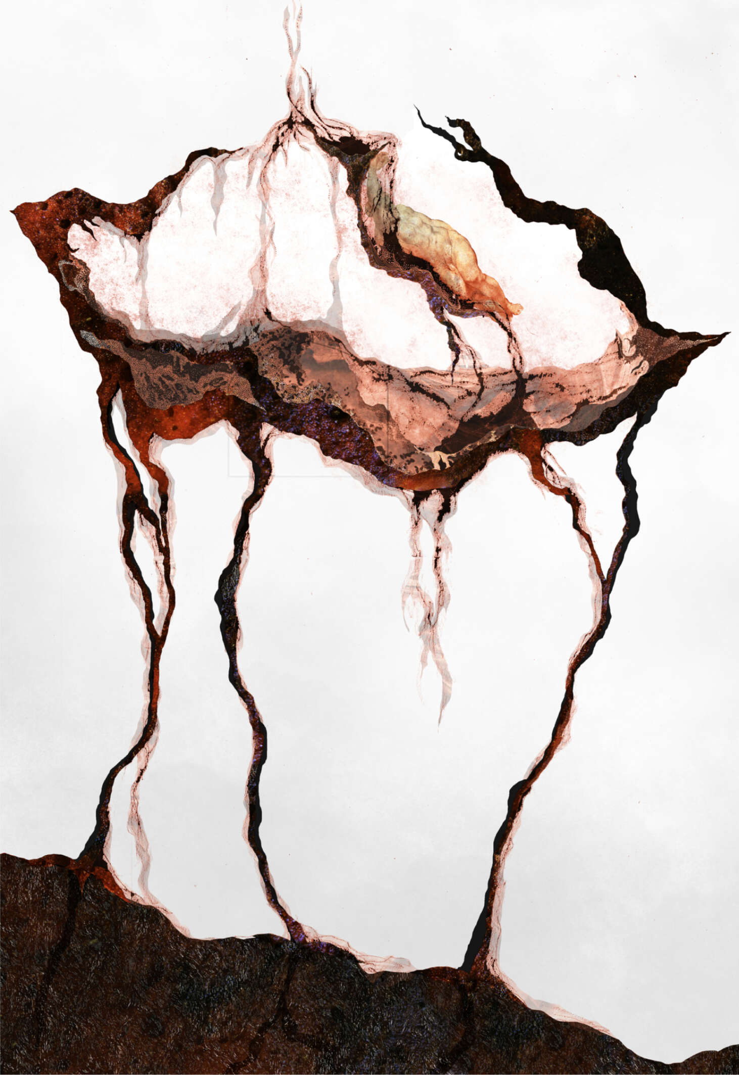 Impotence Single Shell 1 20 440 X 660