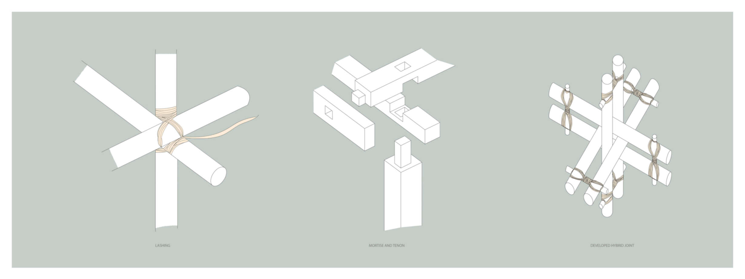 Diagramtic Developed Joint Moetise And Tennon