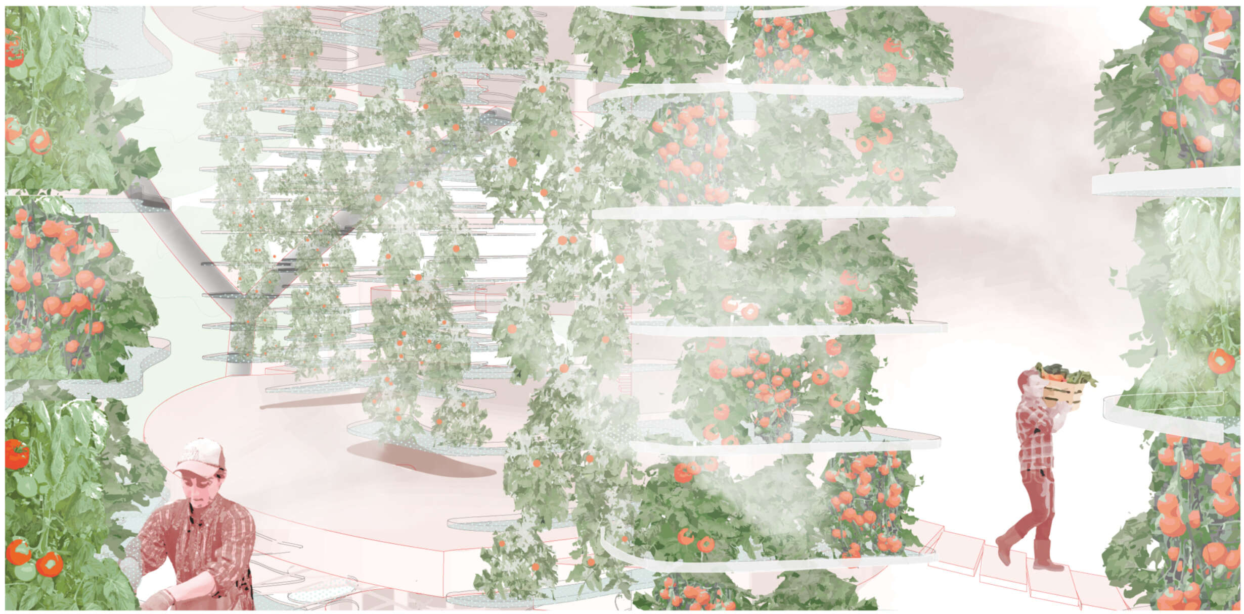 Full Width Image 01
