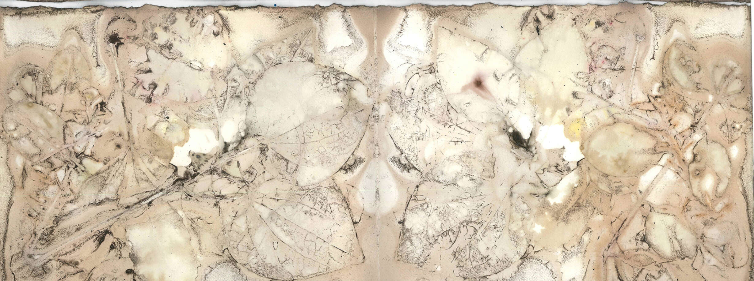 Eco Print 2