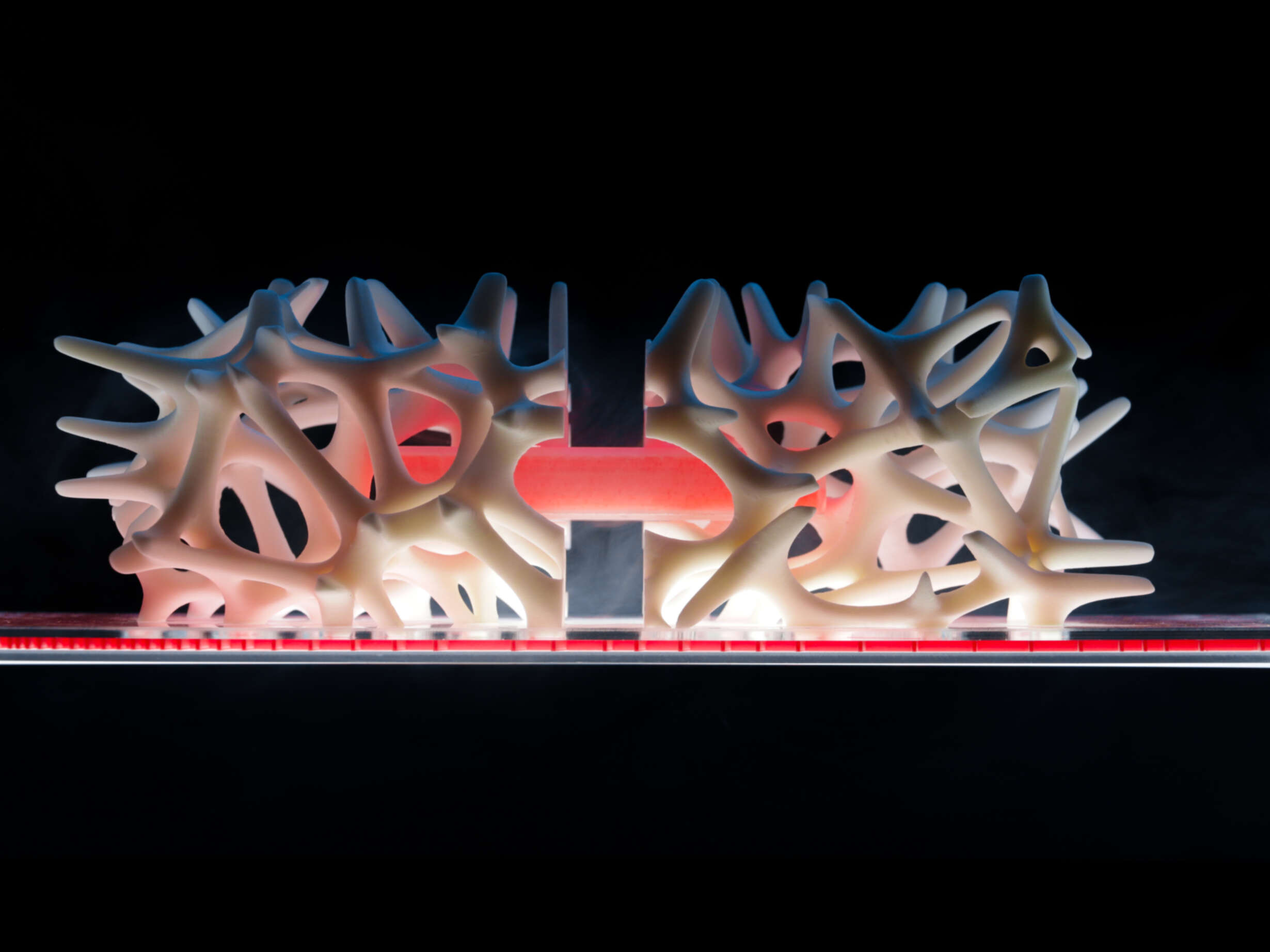 The STEM Cell