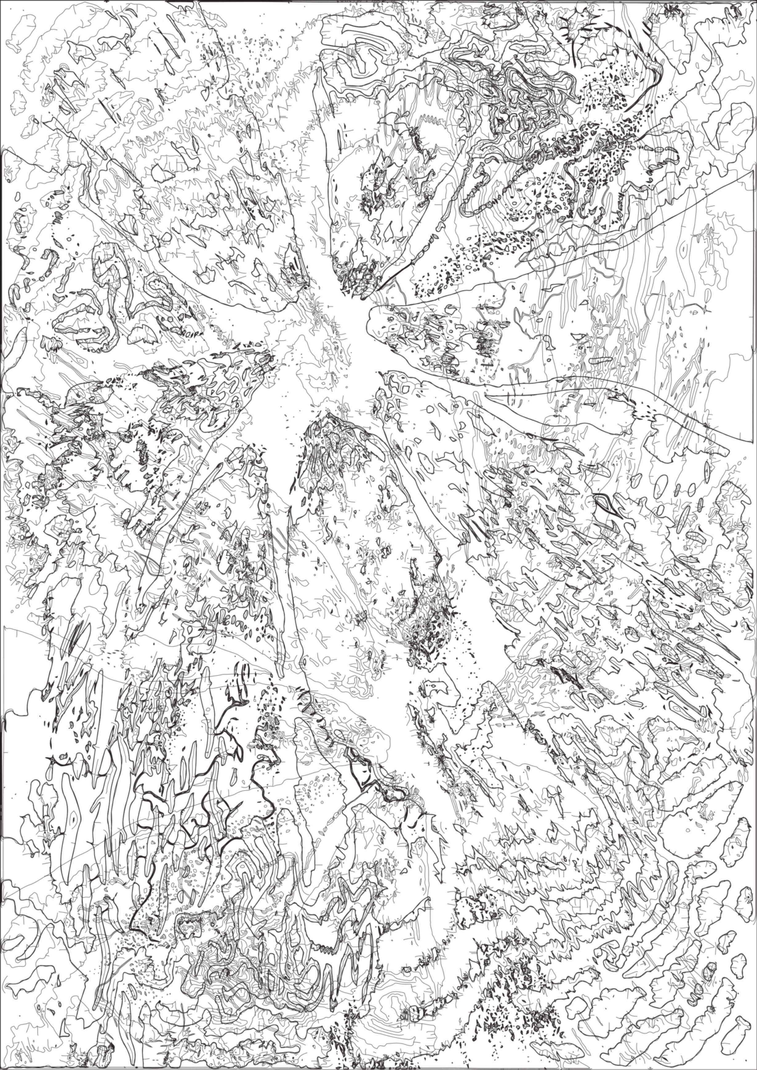 Line Drawing 4 Nicole Teh