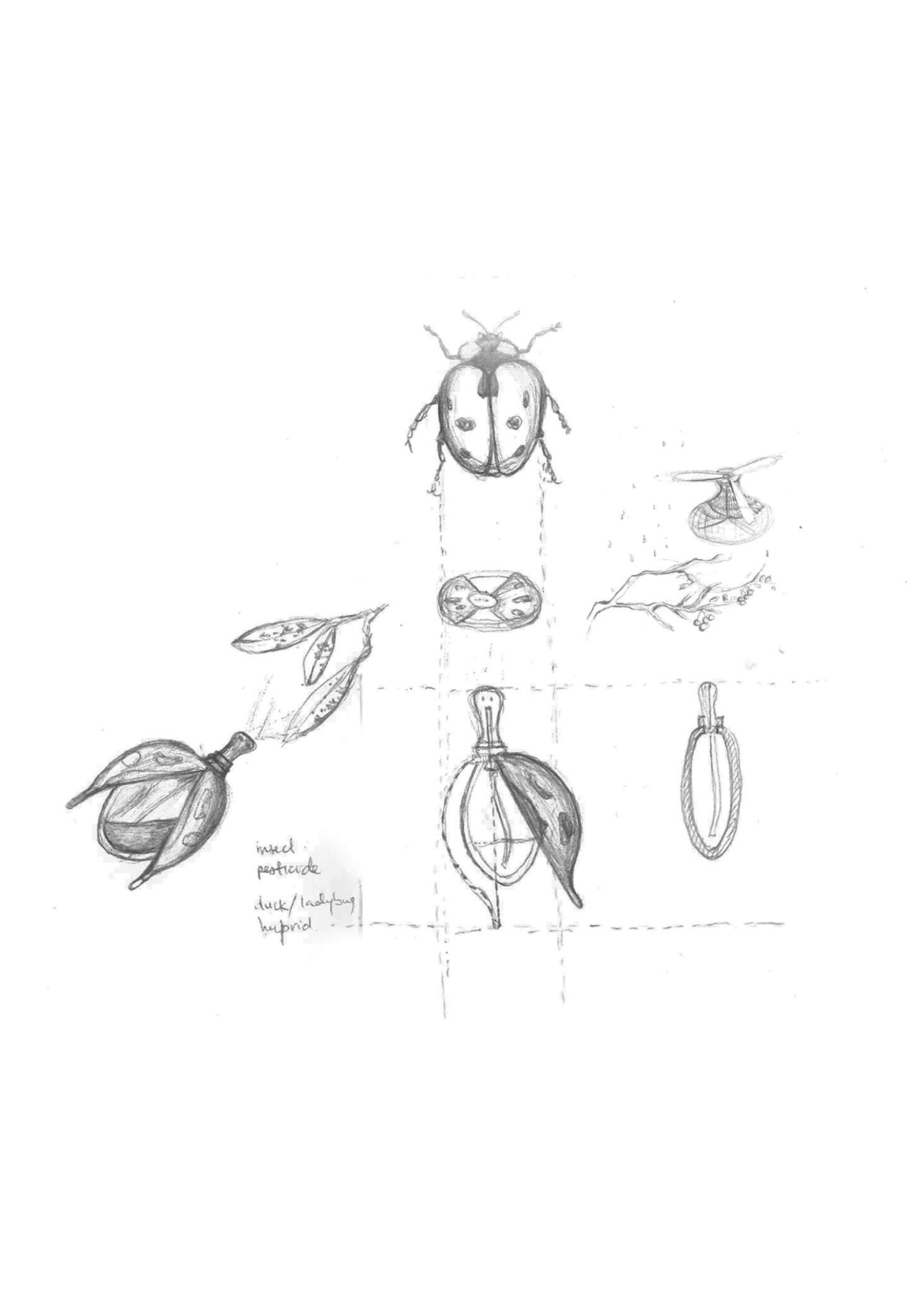 Object Drawing 1 Pesticide Nicole Teh
