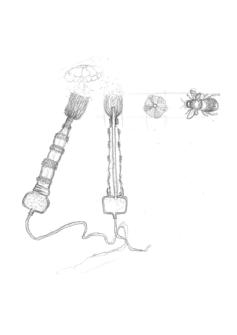 Object Drawing 2 Pollinator Brush Nicole Teh