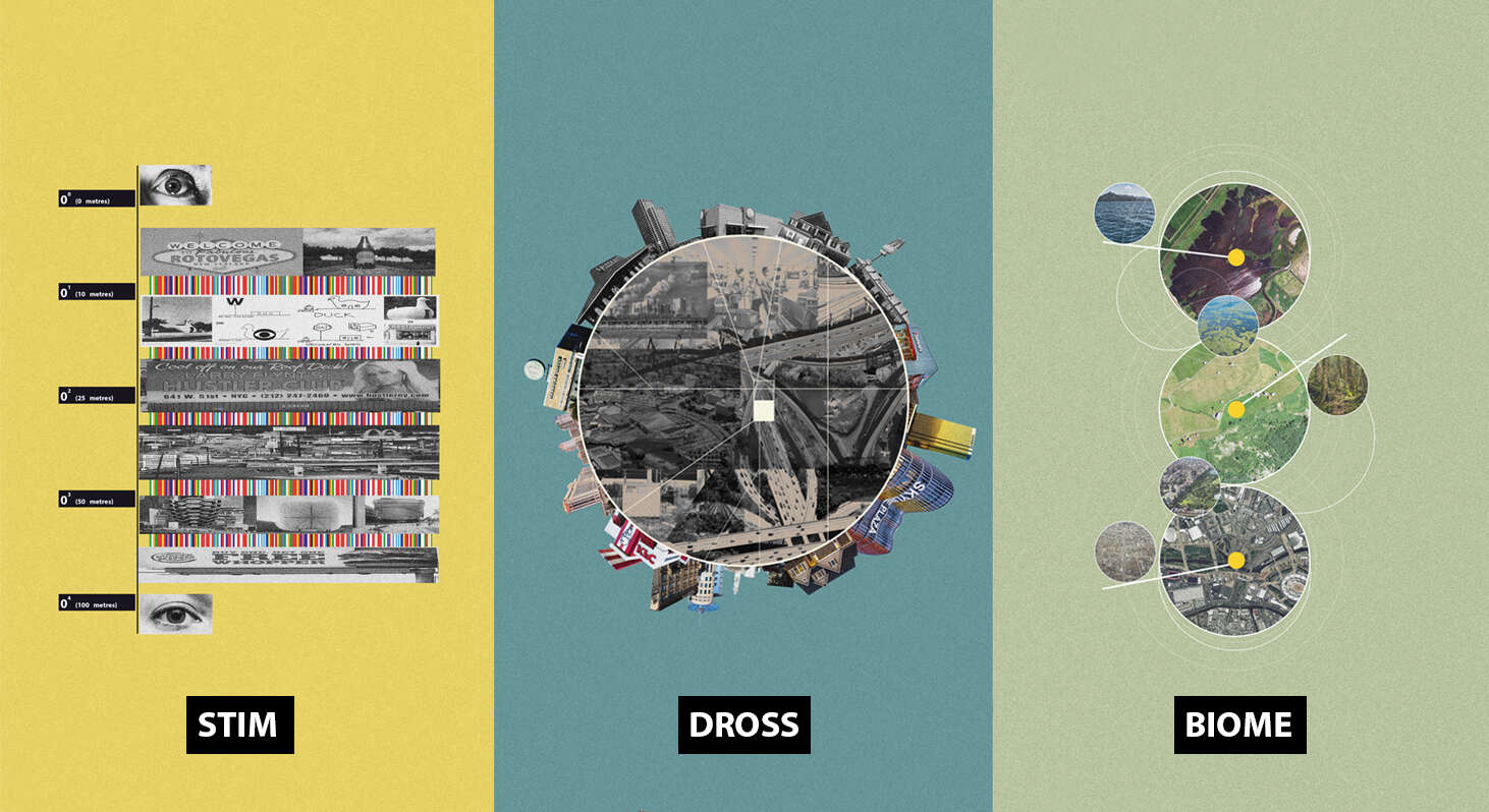 Stim Dross Biome Template 1 798 X 1462Px