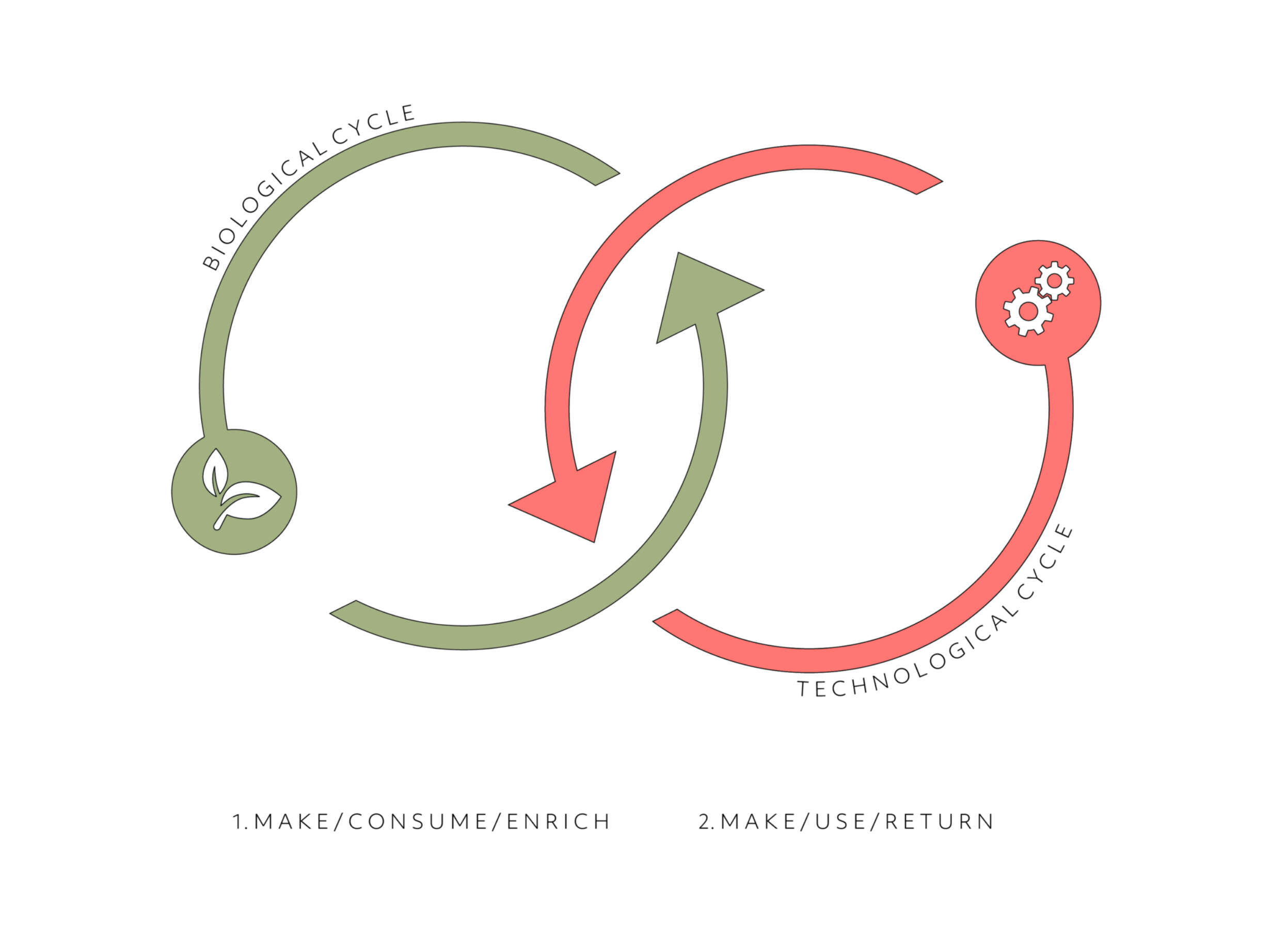 The Circular Model