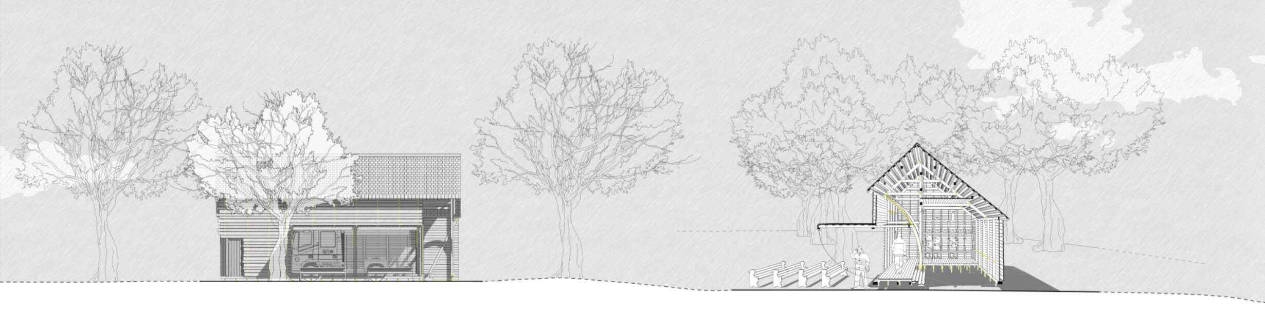Asset Forestation Elevations
