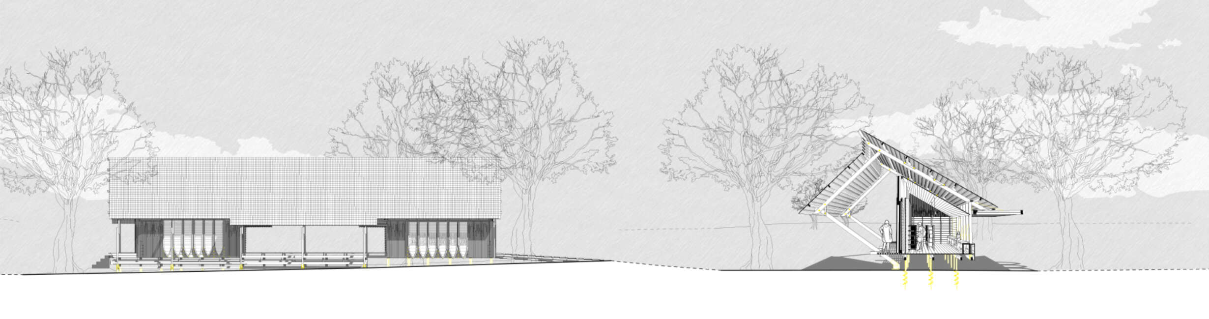 Asset Library Elevation