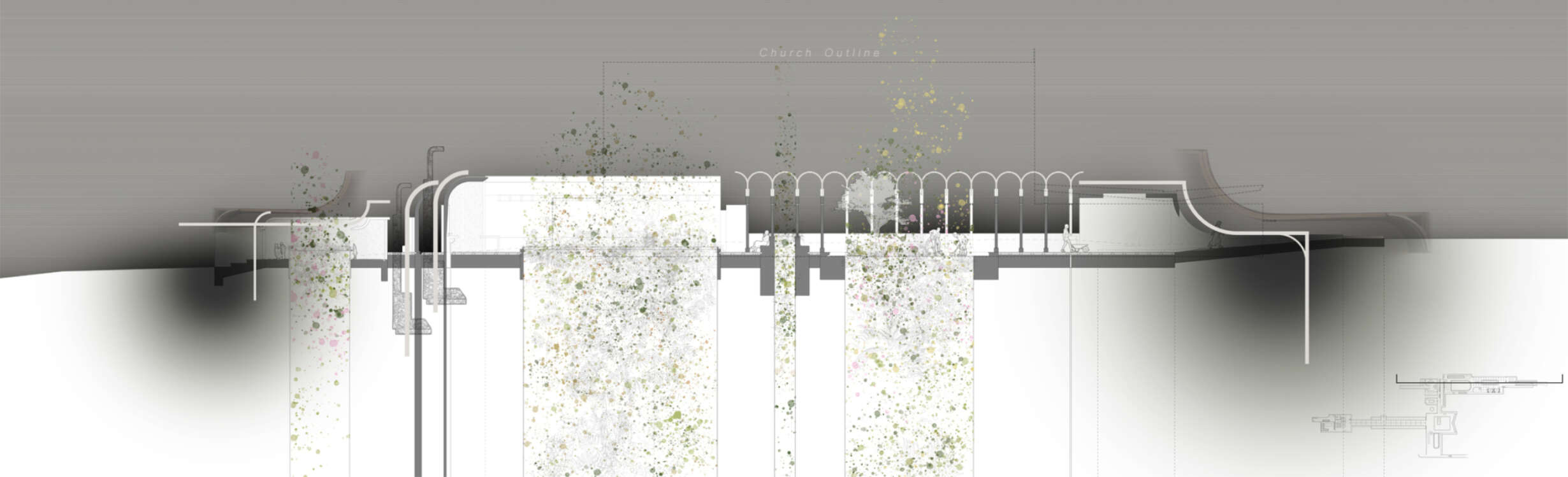Whole Flowering 2300X700Px Edited For Modos