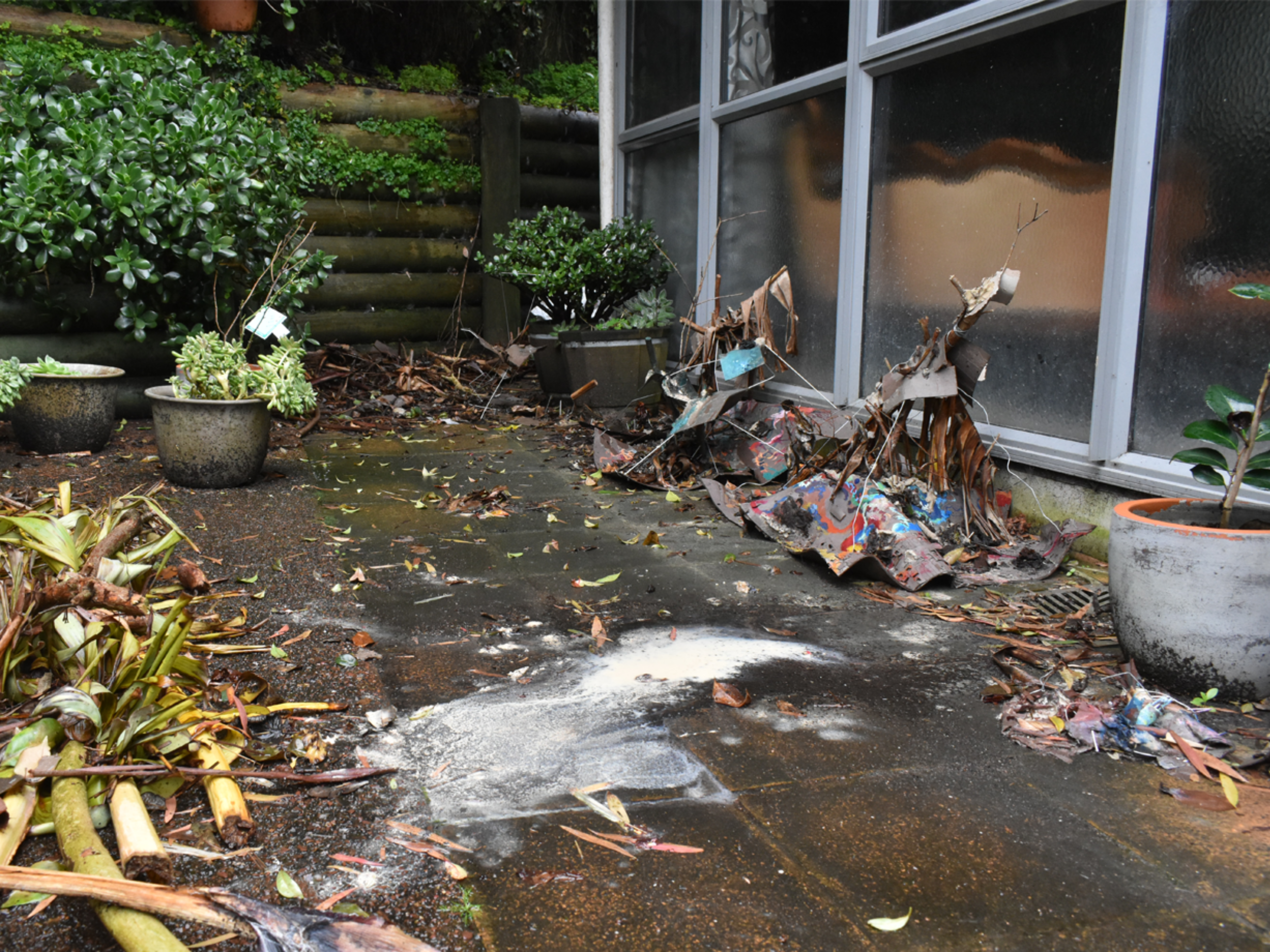 Drawings created through the Pleasurable Methodology. Plant litter piles on my garden floor after a rain shower. The plant litter, on the bottom right, is made up of pruned banana tree leaves and feijoa branches. Clay from the drawings is washing away onto the tiles, soaking into the ground and surrounding plant litter. Whenua is absorbing and communicating with elemental conditions.