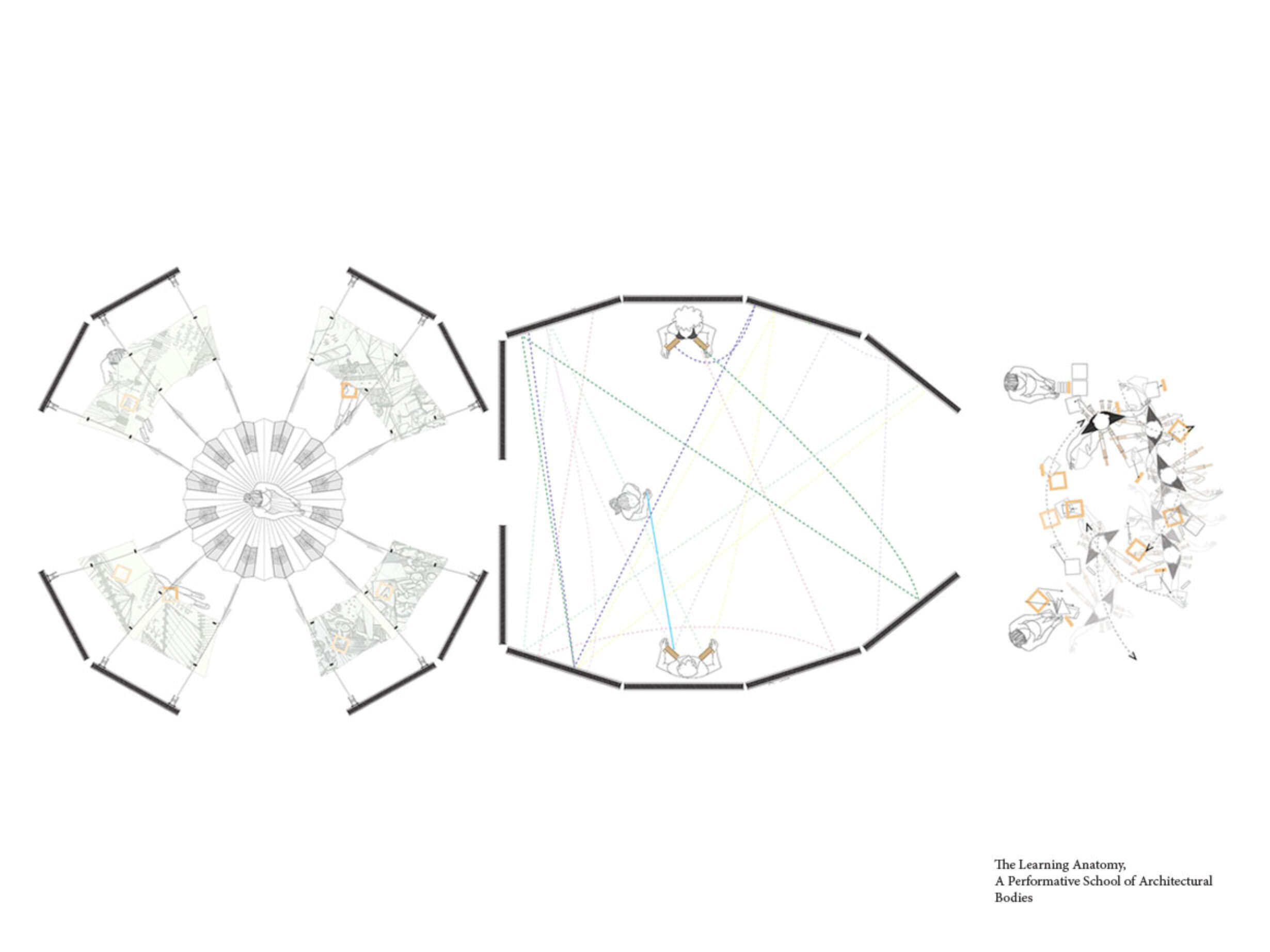 The Learning Anatomy, A Performative School of Architectural Bodies