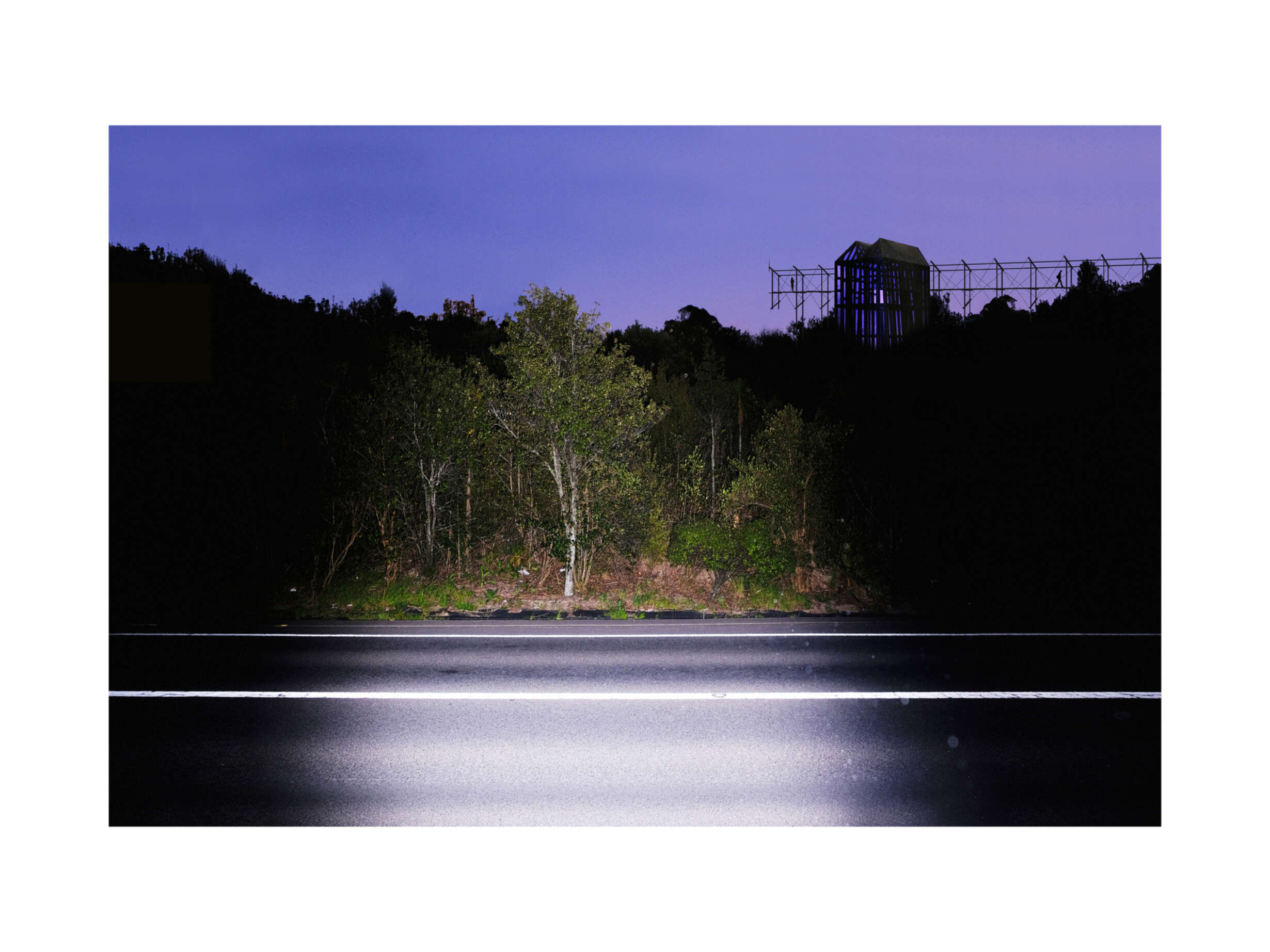 The unknowable terrain of Grafton Gully’s forested motorway island.