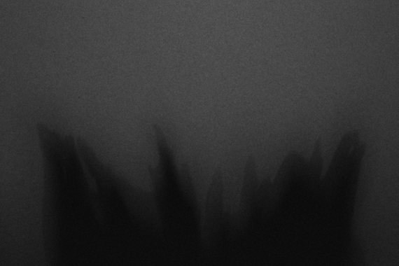 Dsc 0024