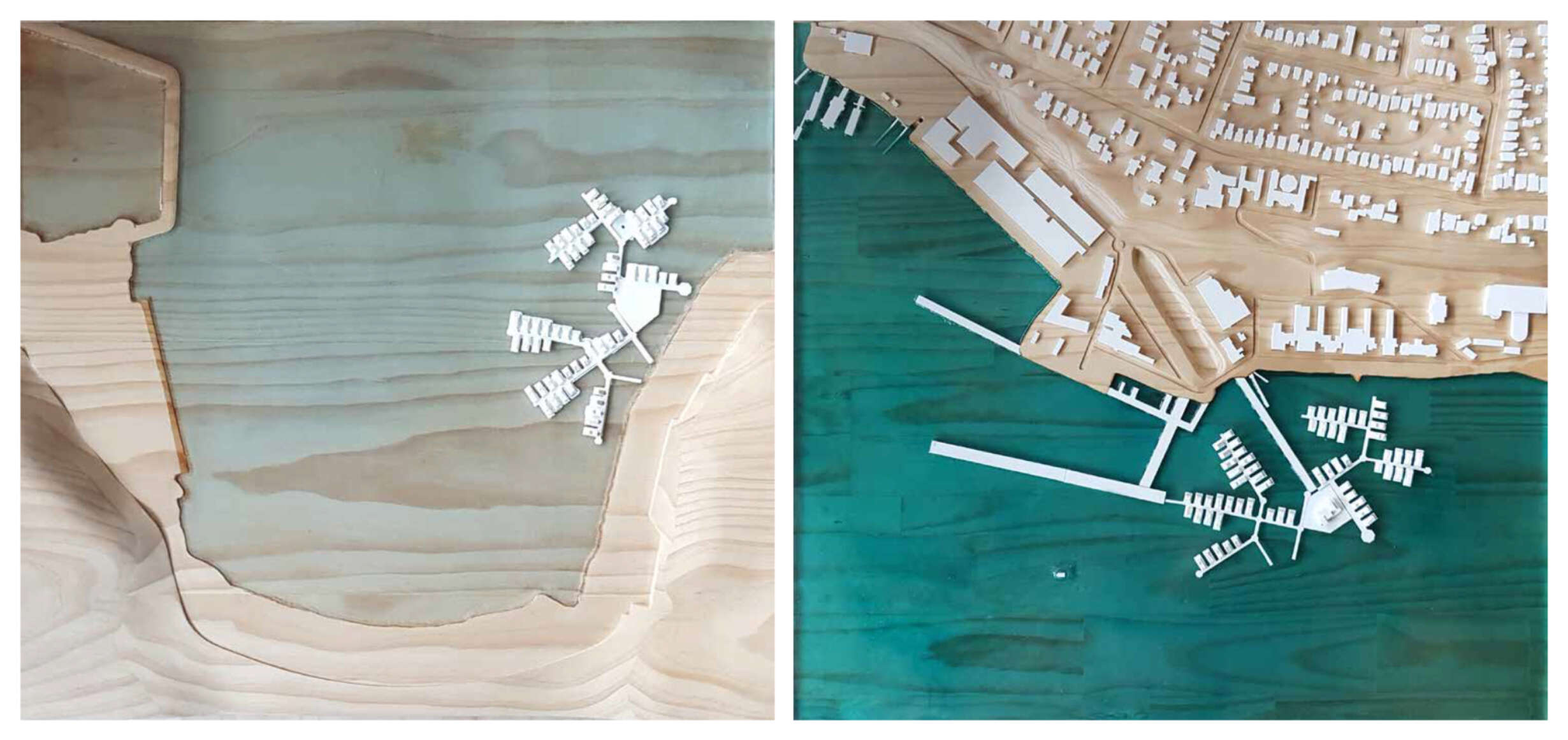 Physical 1 to 1000 Site Models