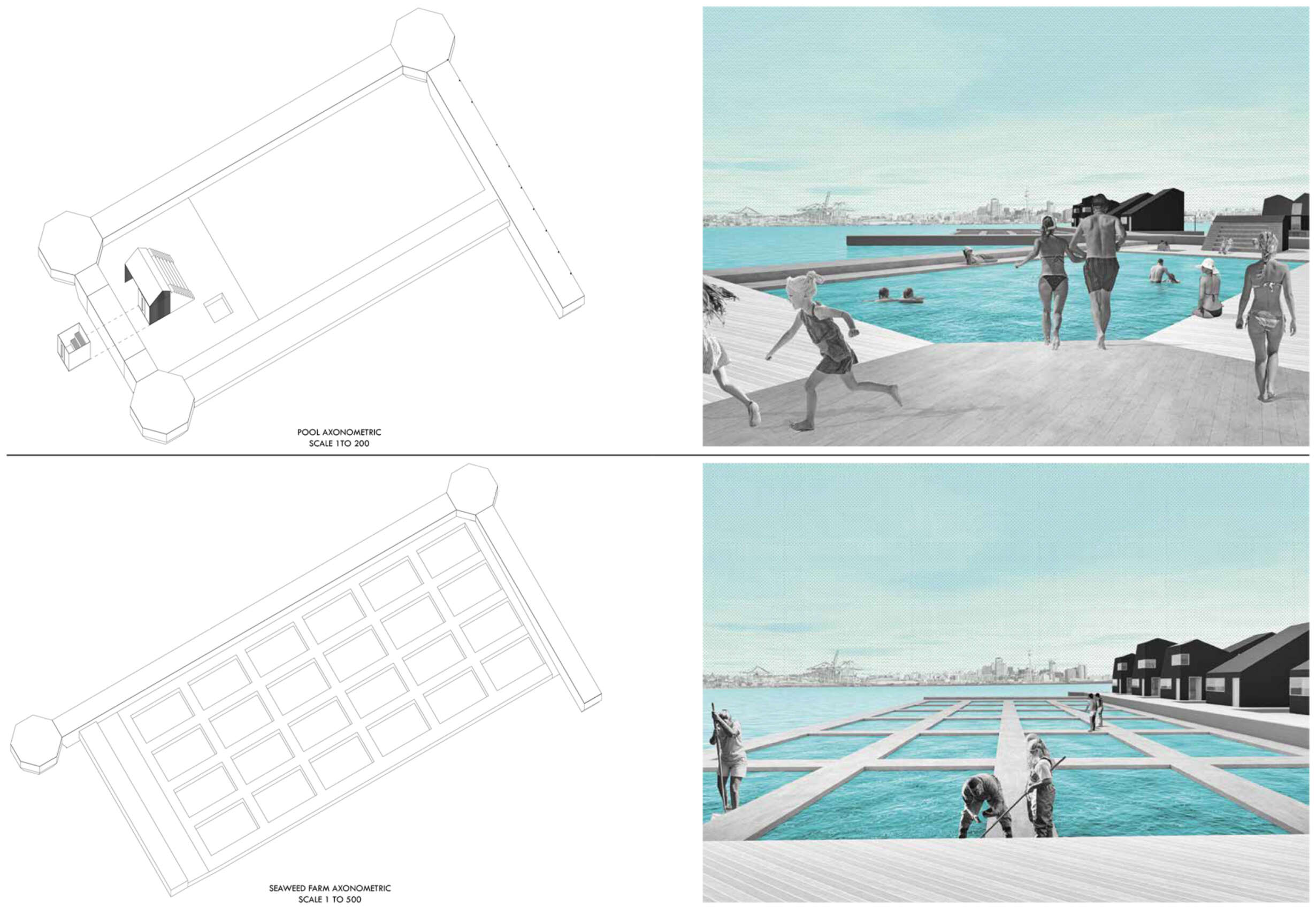 Components:  Pool and Seaweed Farm