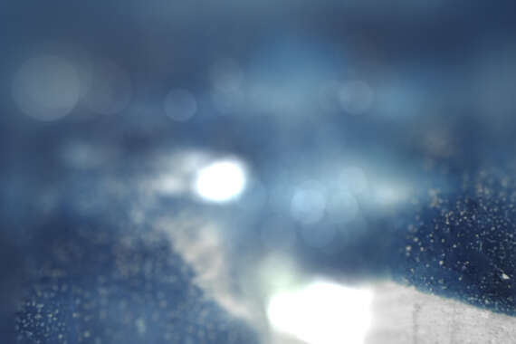 Cyanotype Image 1