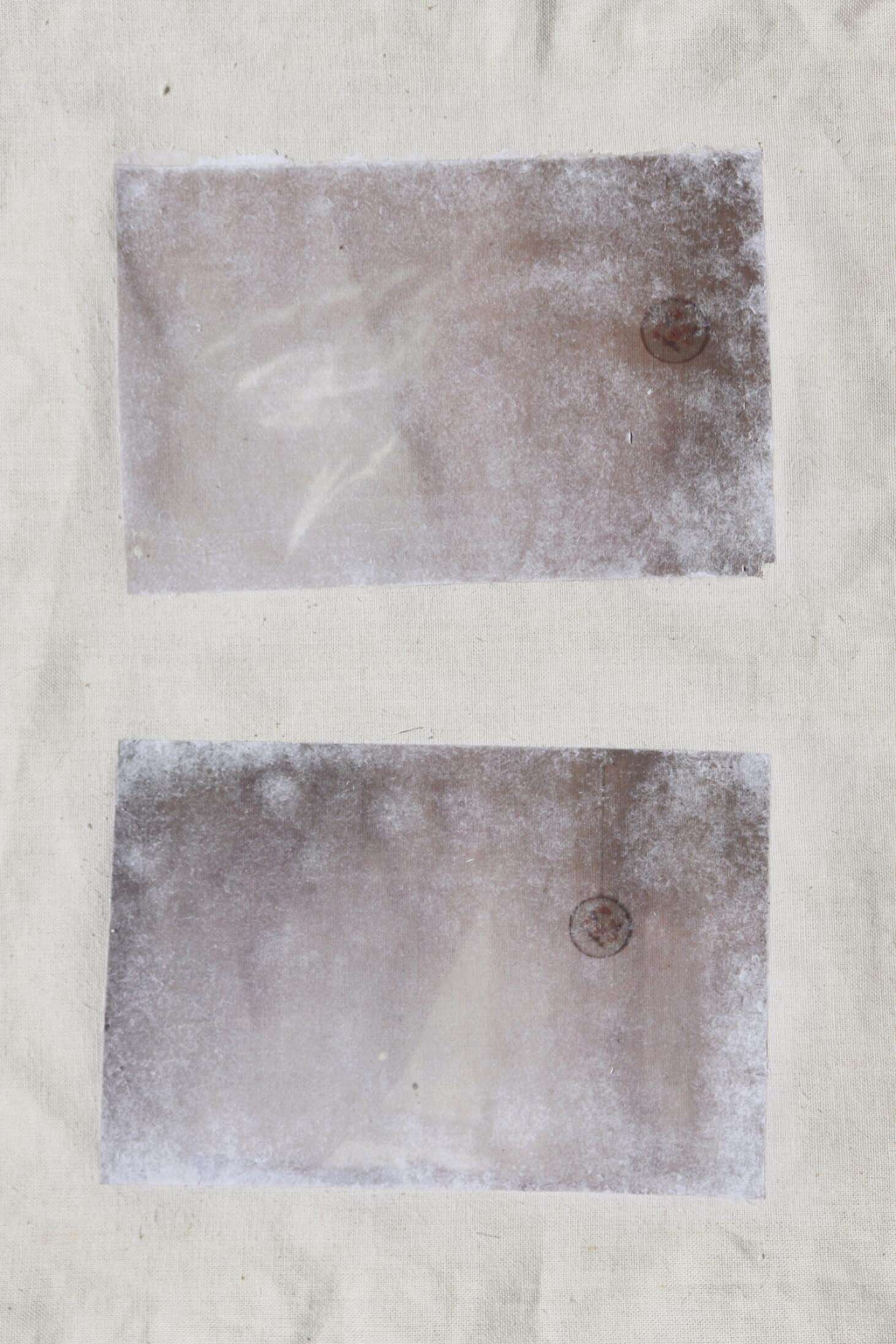 Ella Simkin Two