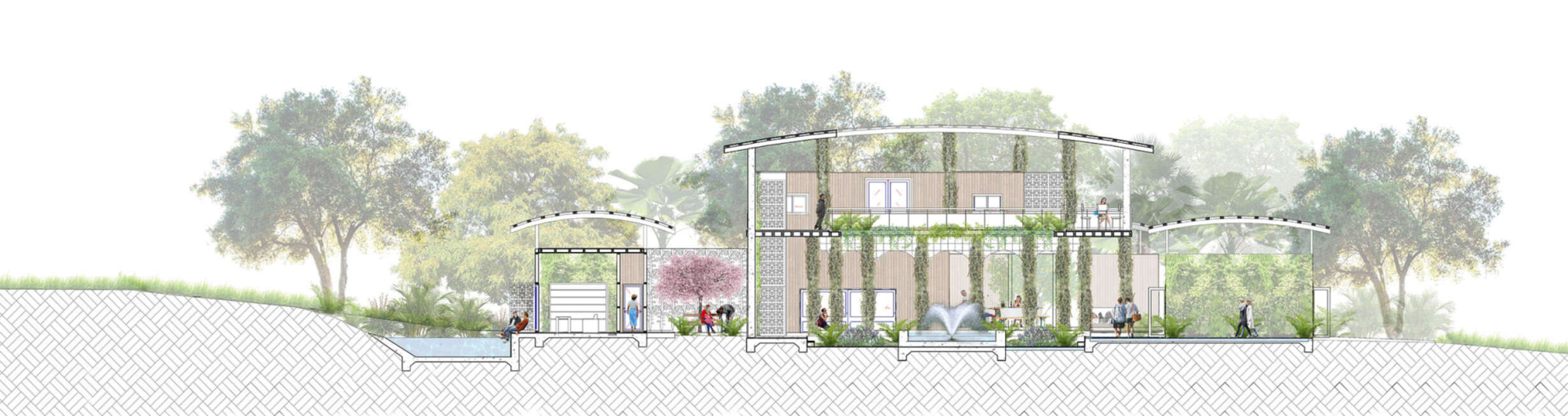 Rendered Section 2460