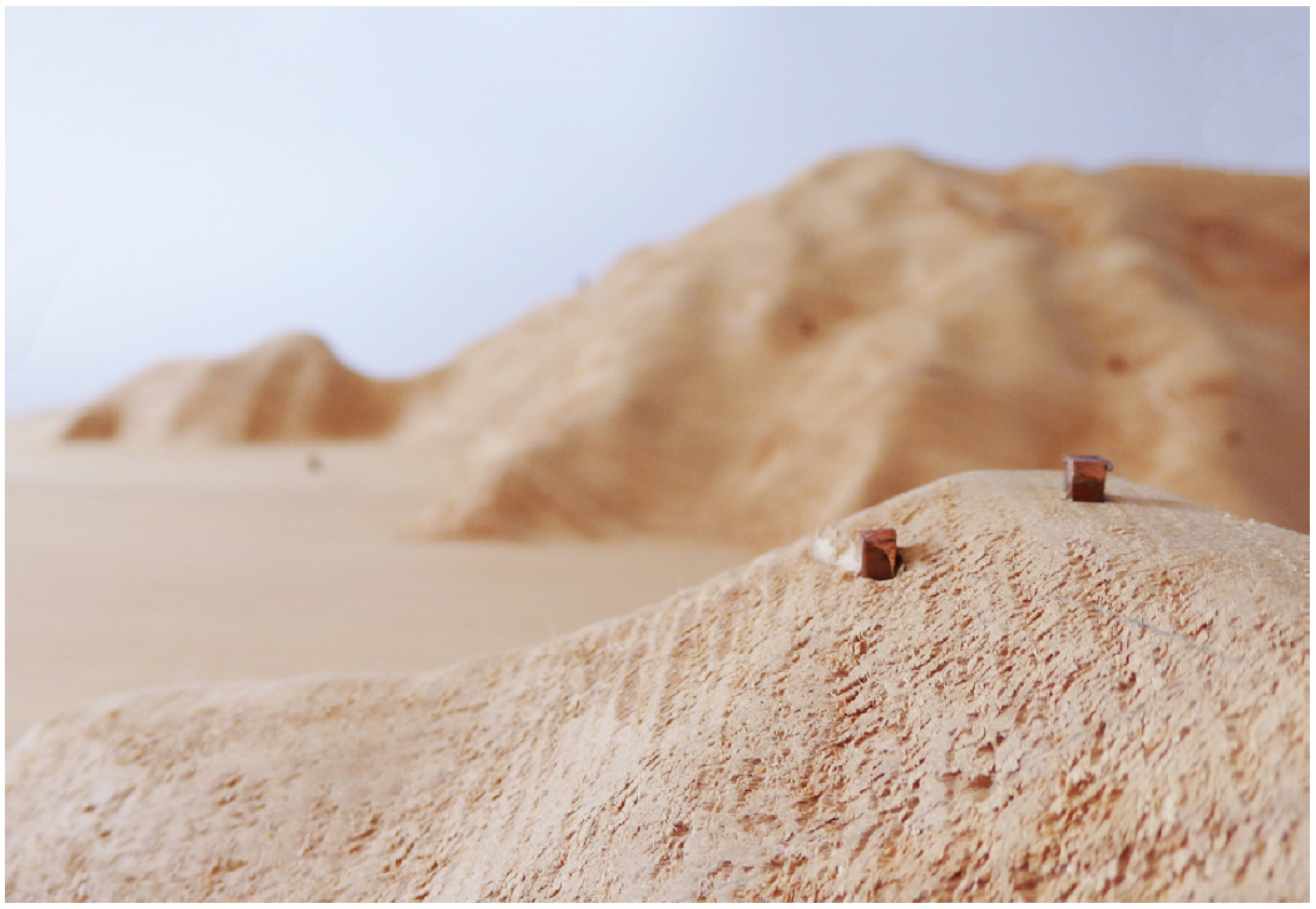 Site Model