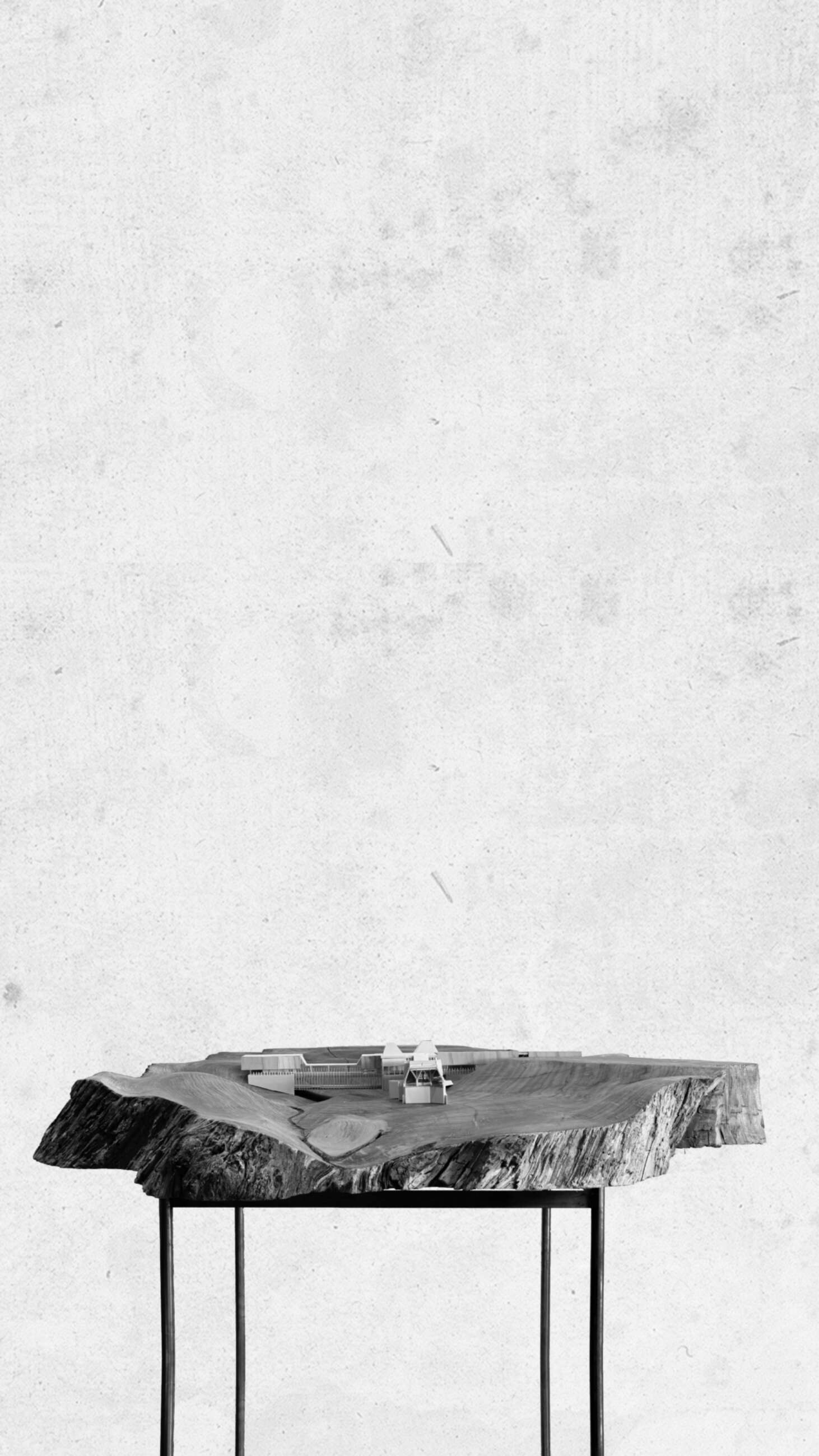 Untitled 27