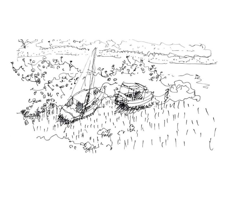 Meola Sketch Centered