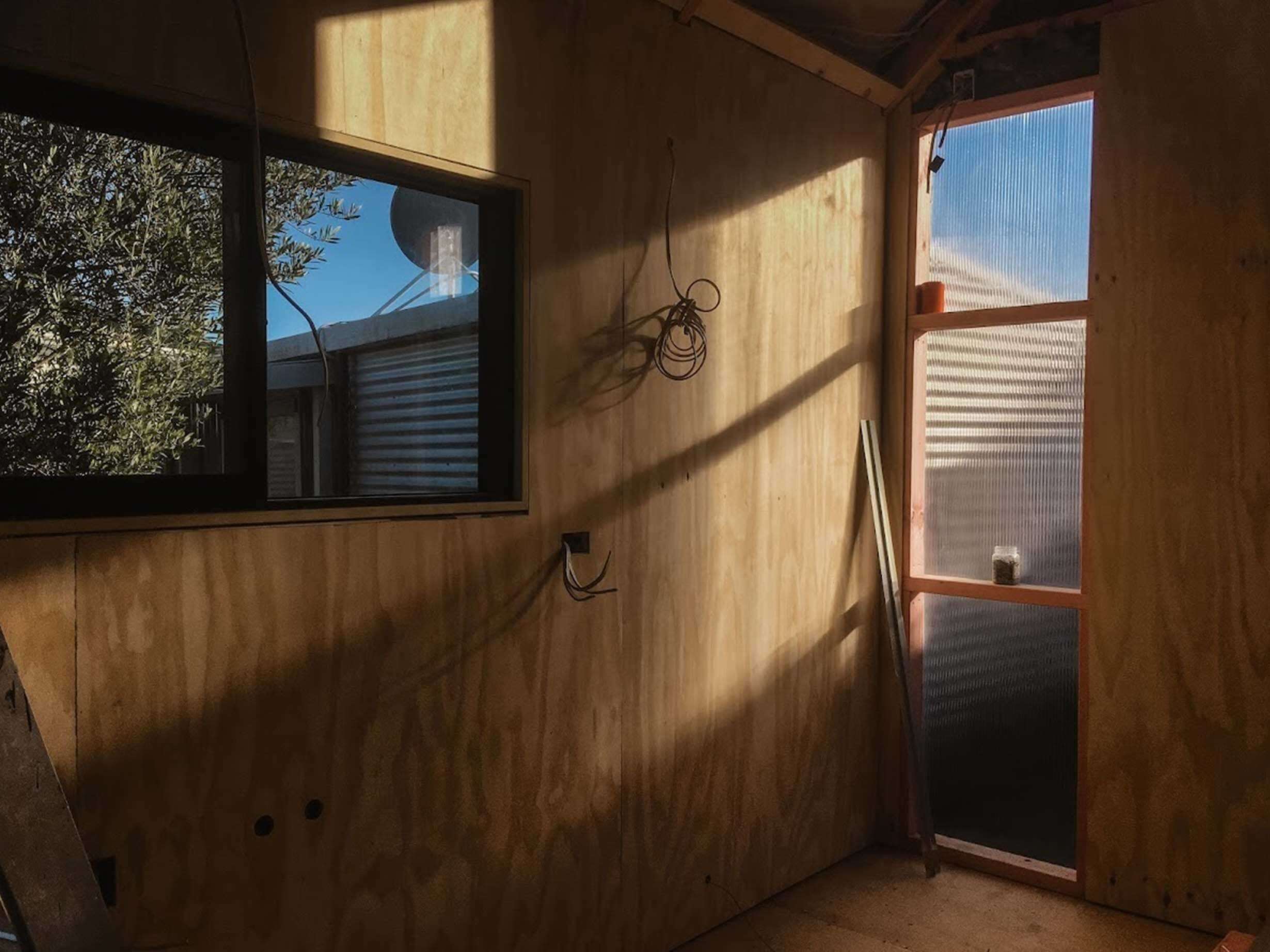 Tim Brodrick Modos Morning Light