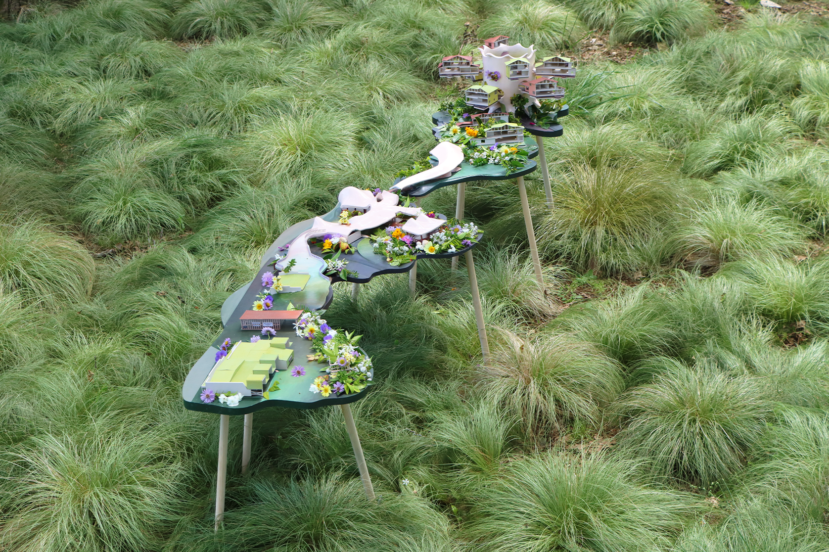 Modos image 1