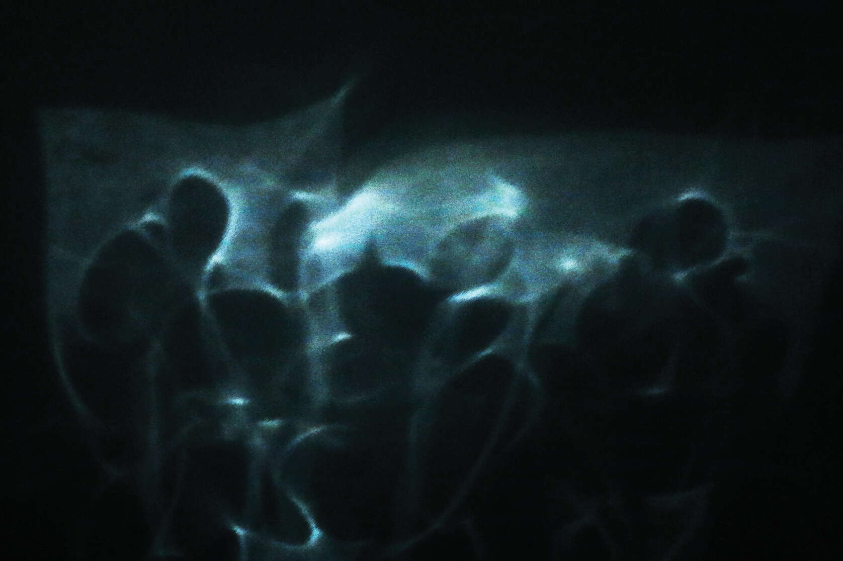 Alec Pempek Page Header Image