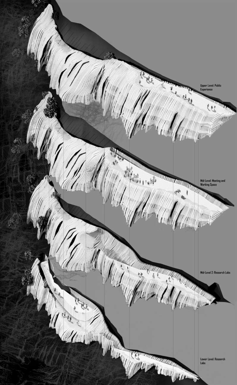 Diagrammatic plan 01 01