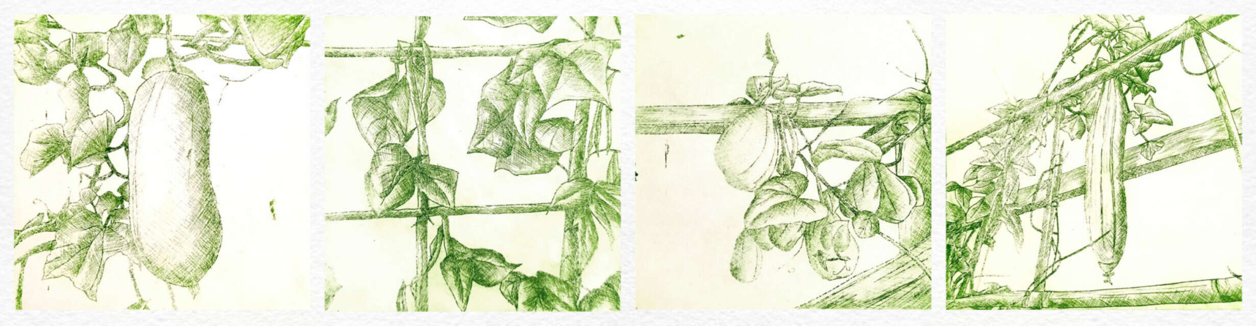 Etching Garden