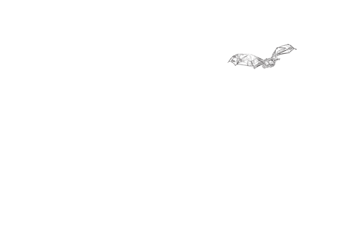 Promo Landscape