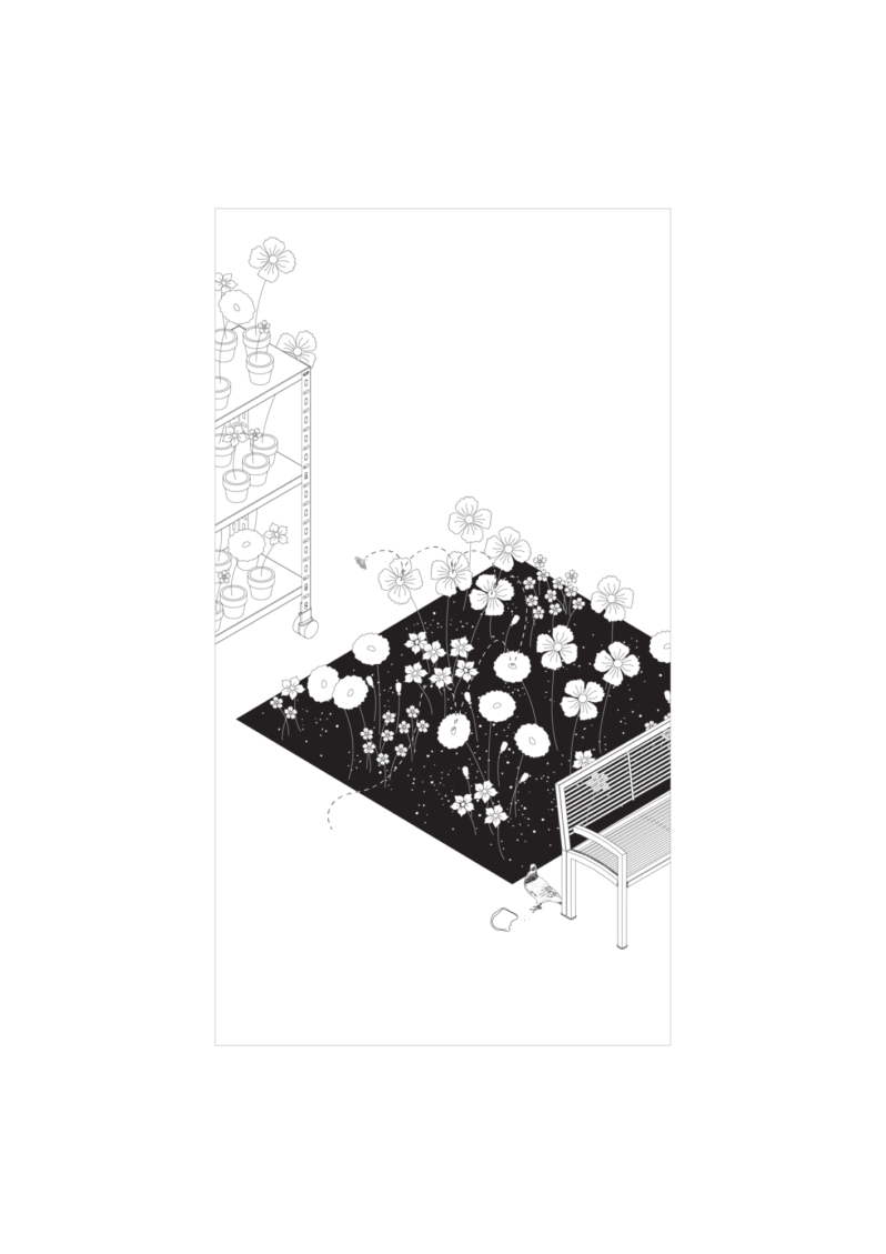 Flowers 01