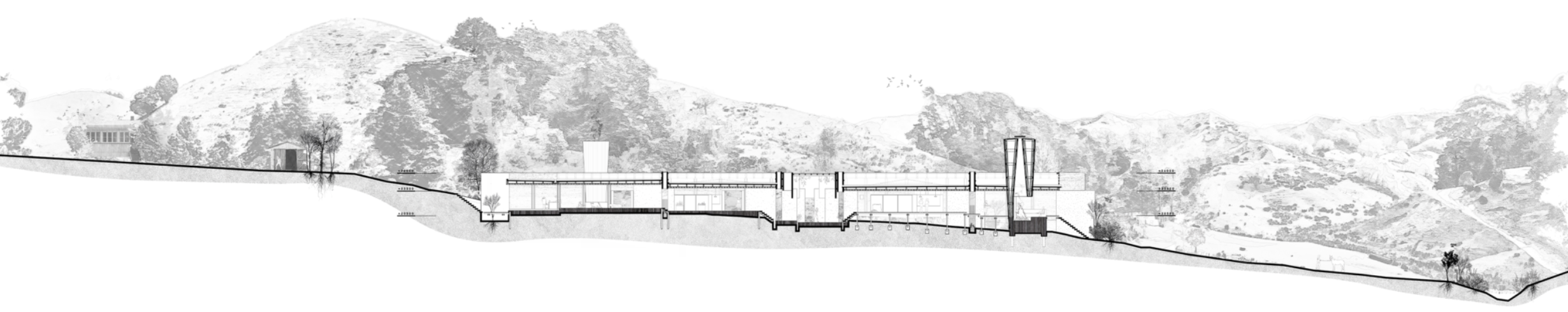 Section web