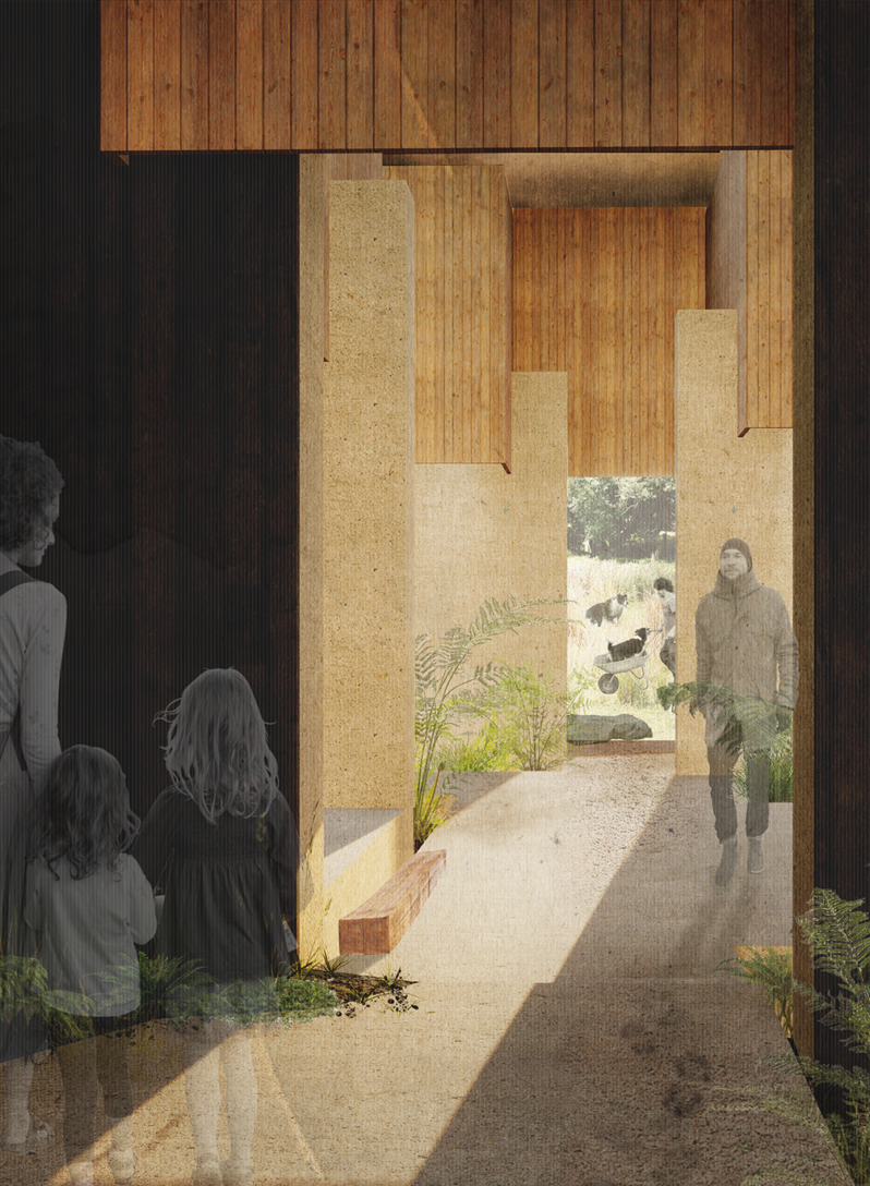 Entry web
