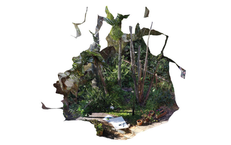 798 garden drawing 2