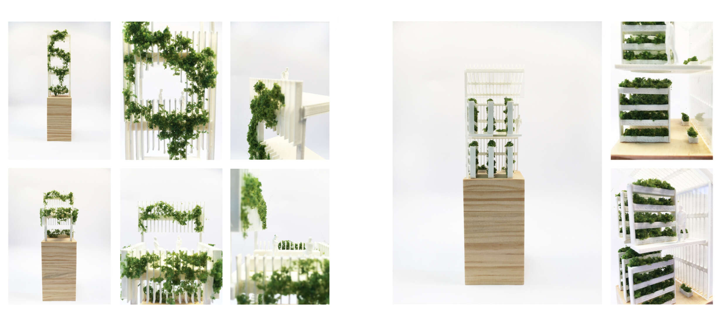 5 Full Width Photo